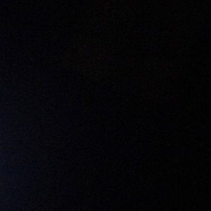 Meet your Posher, Darrell